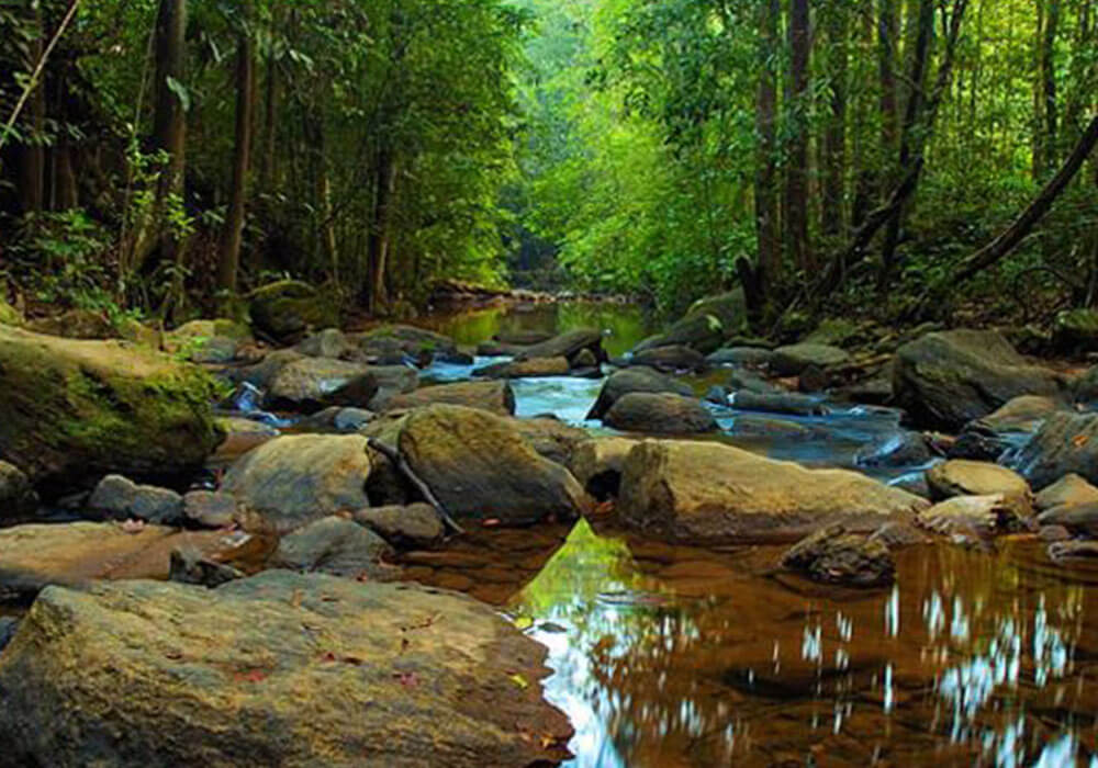 Wild Sri Lanka Nature and Heritage Adventure